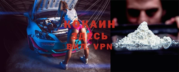 гидра Липки